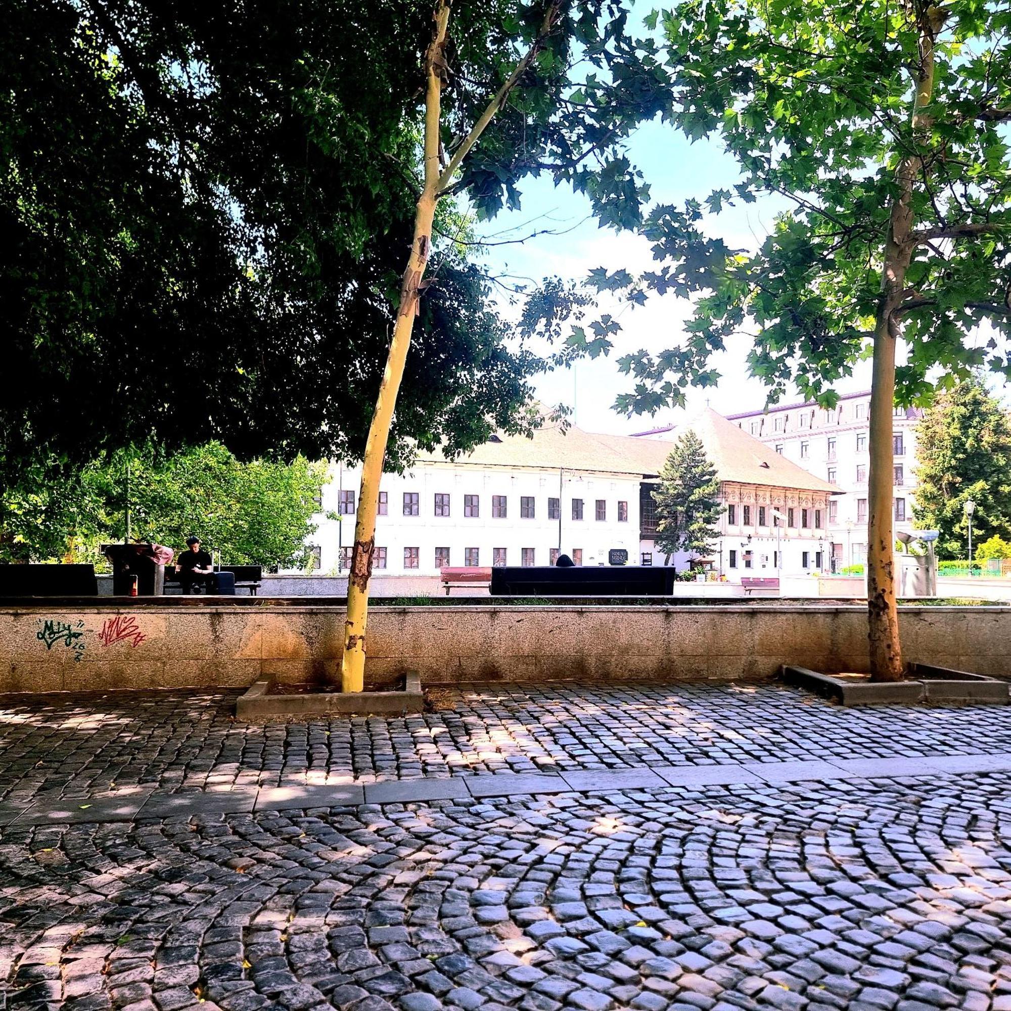 Enchanting Retreat - Historic Old Town - Pet-Friendly Haven - Steps From Unirii Бухарест Экстерьер фото